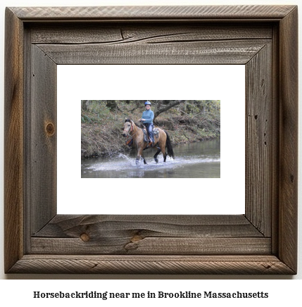 horseback riding near me in Brookline, Massachusetts